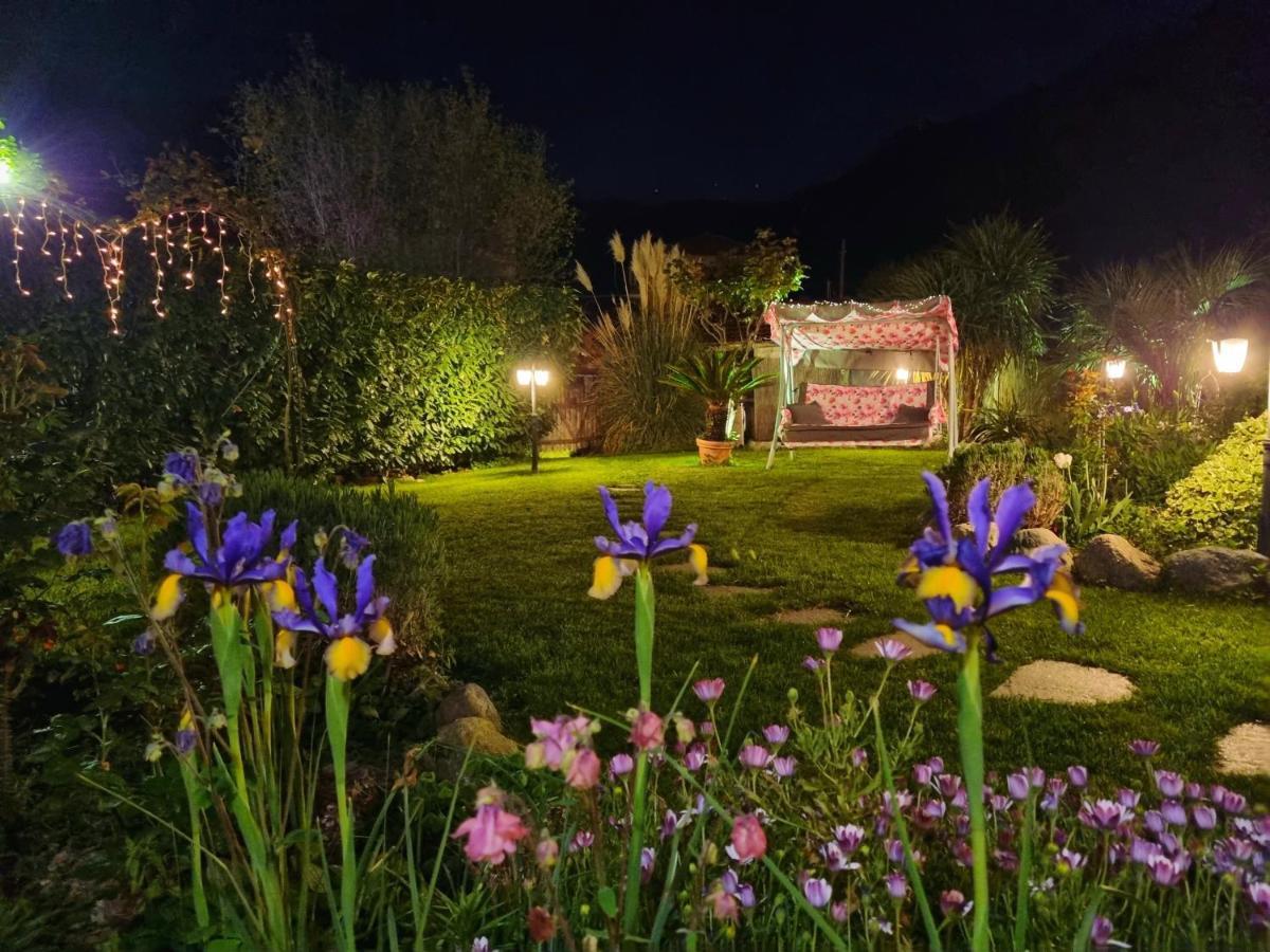 Casa Vacanze Family Albisola Superiore Exterior foto